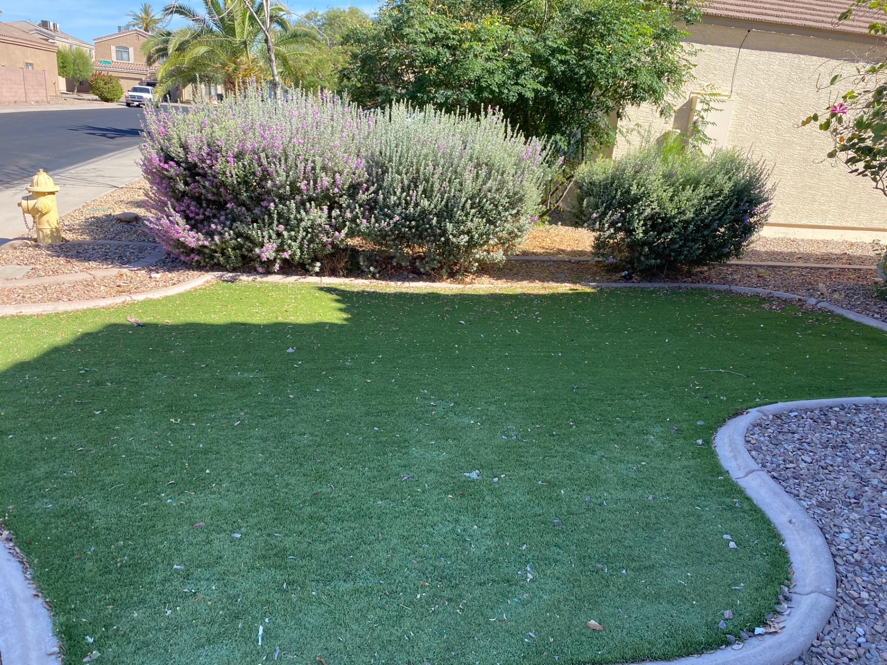 Beautifully maintained Arizona front yard by Faithful Yards
