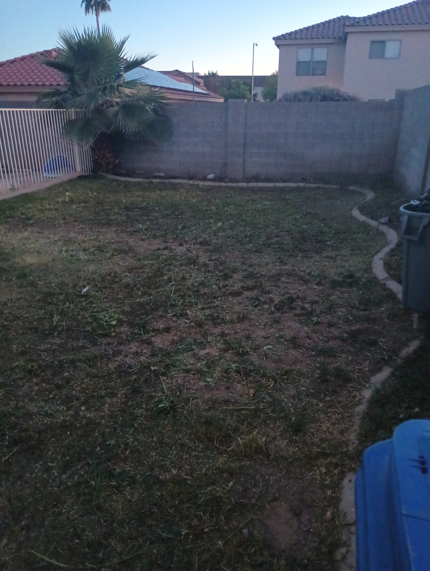 Weed Removal & Backyard Restoration after