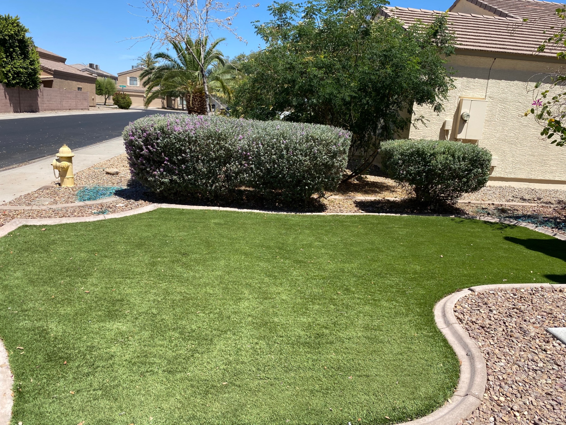 Bush Trimming & Landscape Enhancement after