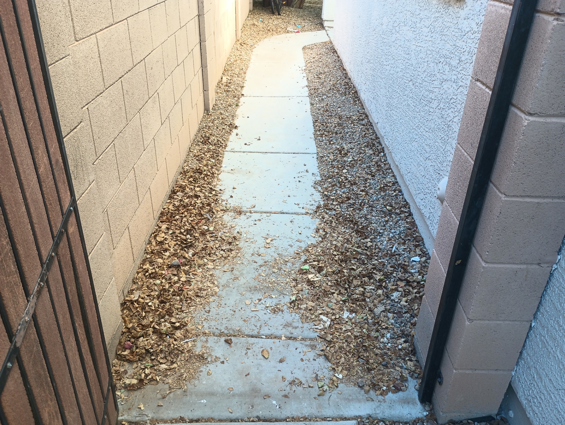 Leaf Removal & Walkway Cleanup before